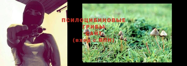 ПСИЛОЦИБИНОВЫЕ ГРИБЫ Алзамай