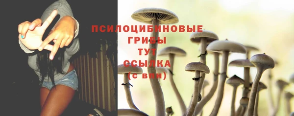 ПСИЛОЦИБИНОВЫЕ ГРИБЫ Алзамай