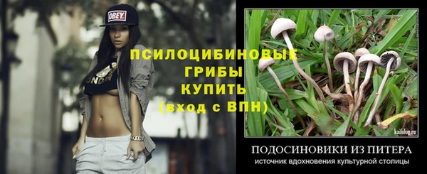 ПСИЛОЦИБИНОВЫЕ ГРИБЫ Алзамай