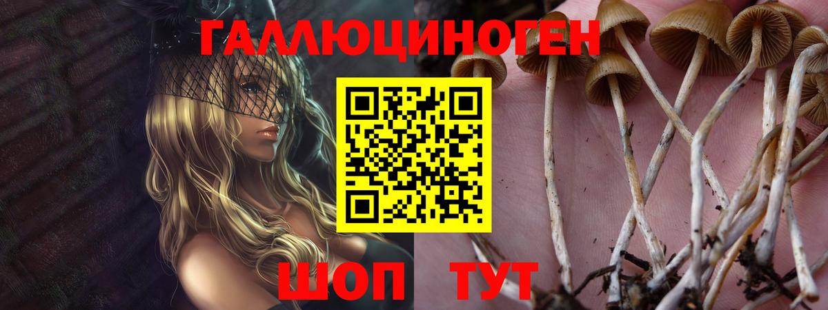 Арсеньев  Галлюциногенные грибы ЛСД  Вход с VPN 